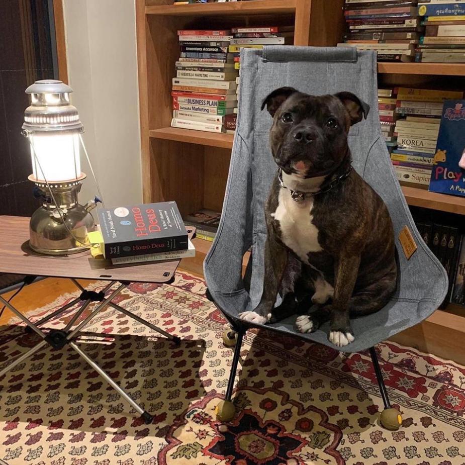 Helinox Chair Two Home